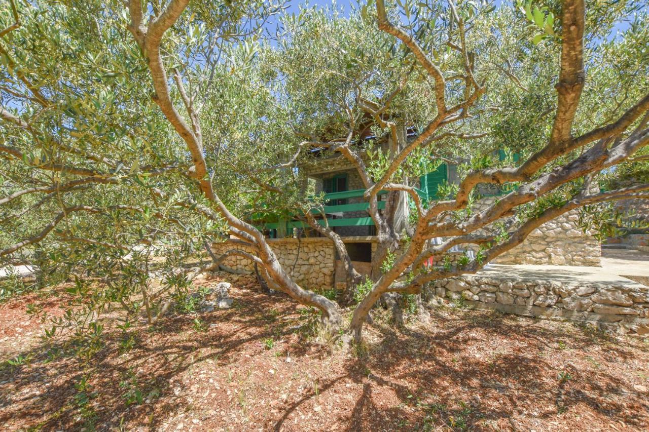 House Oliva Villa Tkon Exterior photo